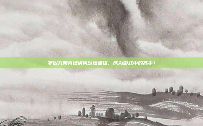 掌握九阴真经清风剑法连招,成为游戏中的高手!