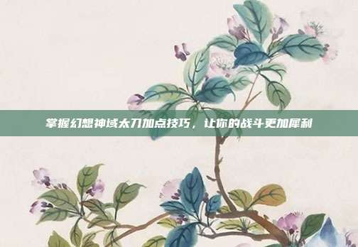 掌握幻想神域太刀加点技巧,让你的战斗更加犀利