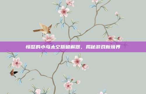愤怒的小鸟太空版破解器，揭秘游戏新境界