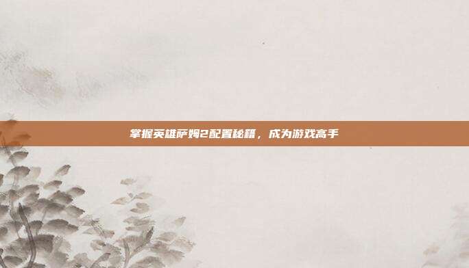 掌握英雄萨姆2配置秘籍，成为游戏高手