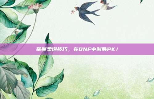 掌握柔道技巧，在DNF中制胜PK！