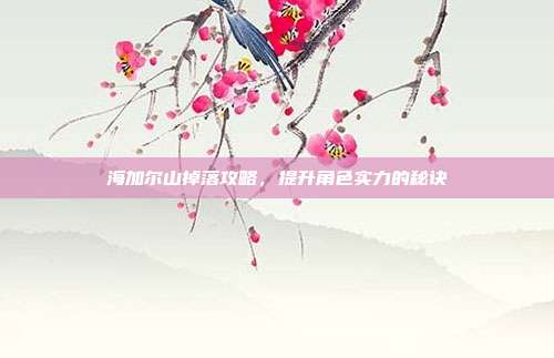 海加尔山掉落攻略,提升角色实力的秘诀