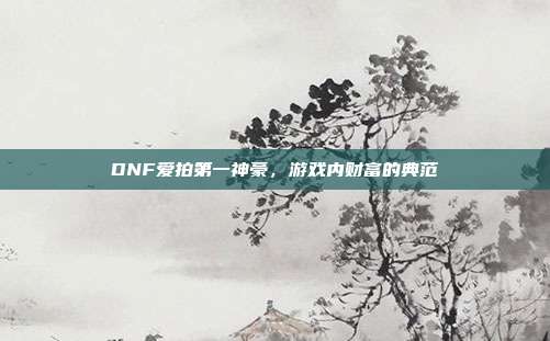 DNF爱拍第一神豪,游戏内财富的典范