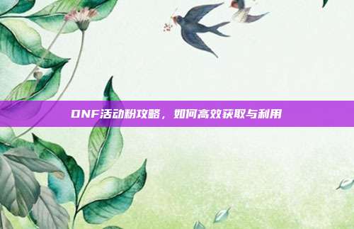 DNF活动粉攻略，如何高效获取与利用