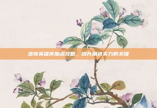 洛奇英雄传加点攻略，提升角色实力的关键