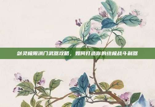 剑灵极限洪门武器攻略,如何打造你的终极战斗利器