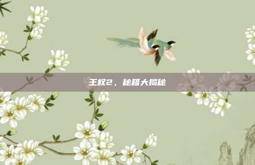 王权2，秘籍大揭秘