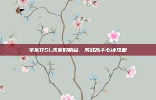掌握DSL联赛的精髓，游戏高手必读攻略