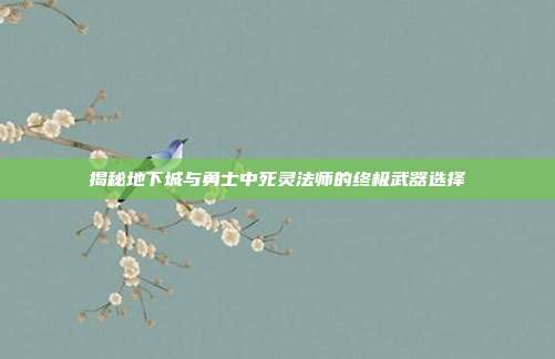 揭秘地下城与勇士中死灵法师的终极武器选择