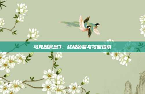 马克思佩恩3,终极秘籍与攻略指南