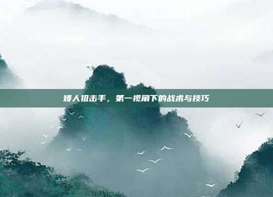 矮人狙击手，第一视角下的战术与技巧