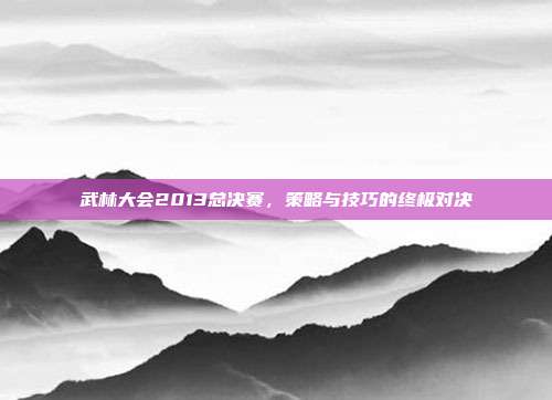 武林大会2013总决赛,策略与技巧的终极对决
