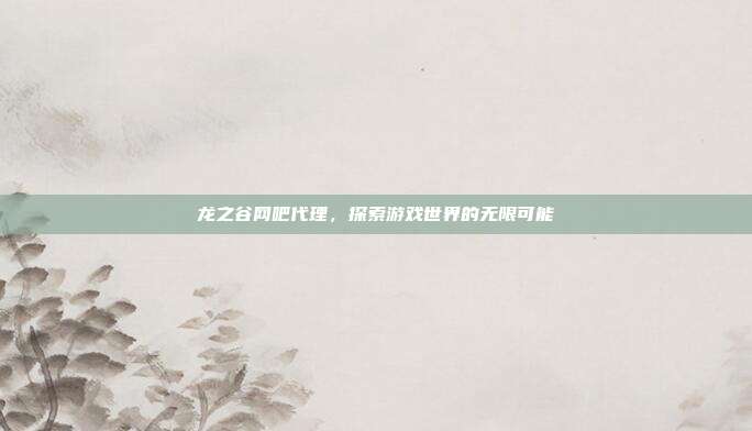 龙之谷网吧代理,探索游戏世界的无限可能