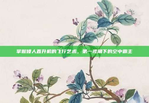 掌握矮人直升机的飞行艺术，第一视角下的空中霸主