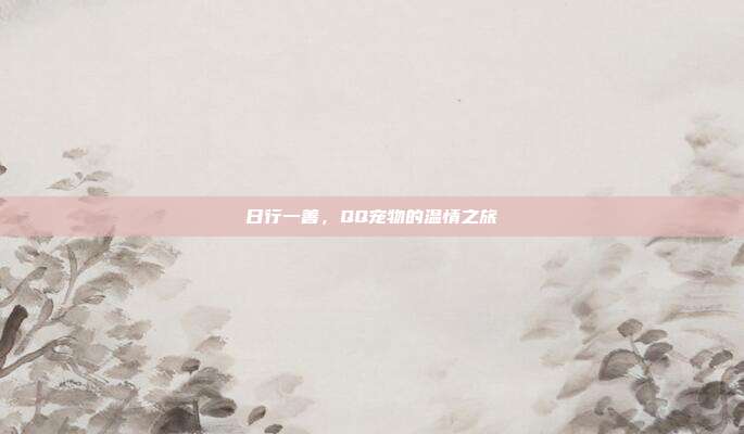 日行一善,QQ宠物的温情之旅
