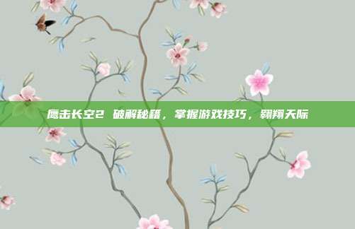 鹰击长空2 破解秘籍，掌握游戏技巧，翱翔天际