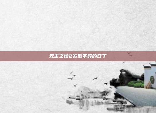无主之地2发型不好的日子