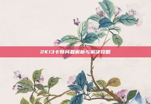 2K13卡顿问题解析与解决攻略