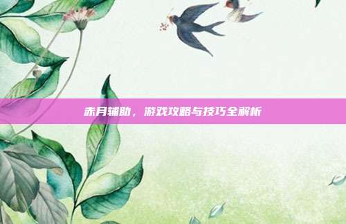 赤月辅助,游戏攻略与技巧全解析