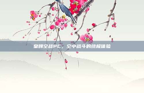 皇牌空战PC,空中战斗的终极体验