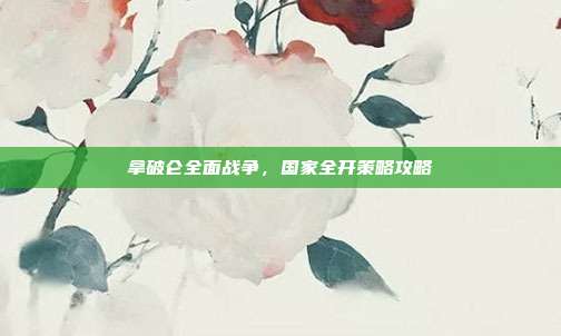 拿破仑全面战争，国家全开策略攻略