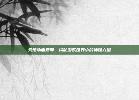 天地劫应无邪,揭秘游戏世界中的神秘力量