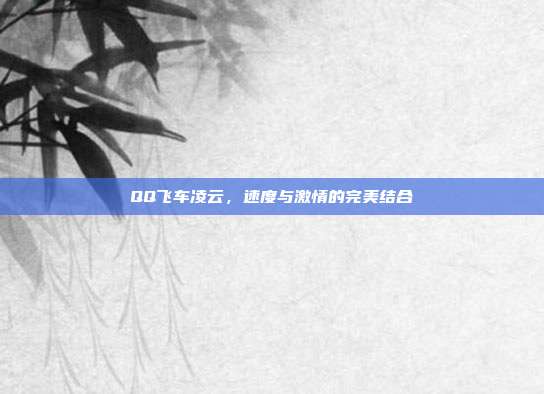 QQ飞车凌云,速度与激情的完美结合