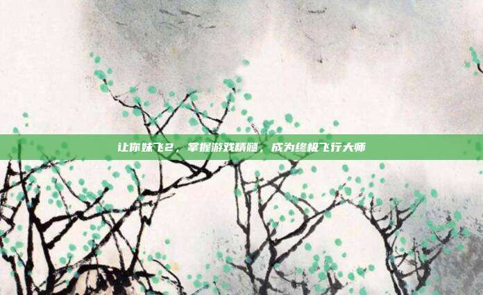 让你妹飞2，掌握游戏精髓，成为终极飞行大师