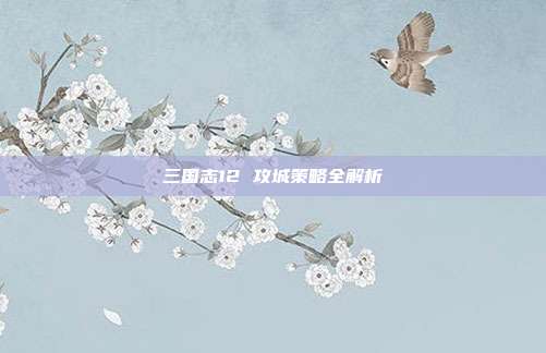 三国志12 攻城策略全解析