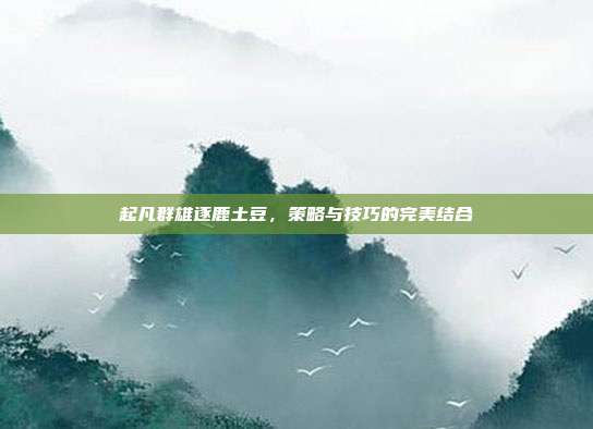起凡群雄逐鹿土豆，策略与技巧的完美结合