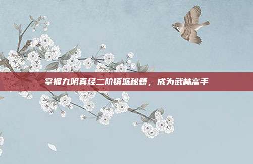 掌握九阴真经二阶镇派秘籍,成为武林高手