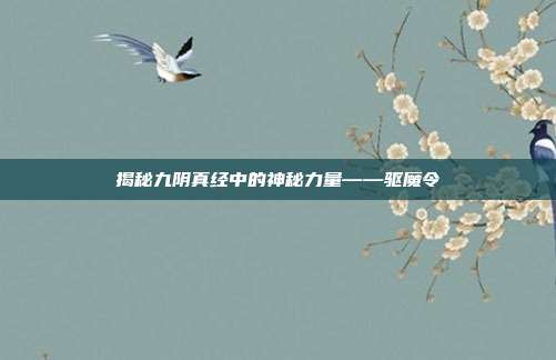 揭秘九阴真经中的神秘力量——驱魔令