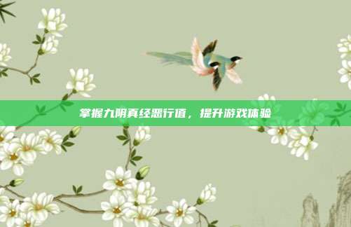 掌握九阴真经恶行值，提升游戏体验