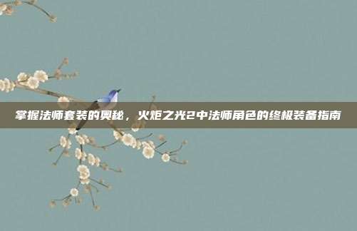 掌握法师套装的奥秘,火炬之光2中法师角色的终极装备指南