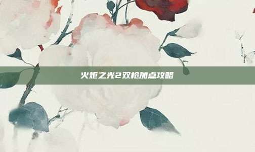 火炬之光2双枪加点攻略