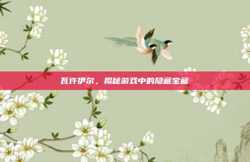 瓦许伊尔,揭秘游戏中的隐藏宝藏