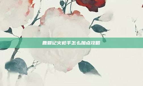 鹿鼎记火枪手怎么加点攻略
