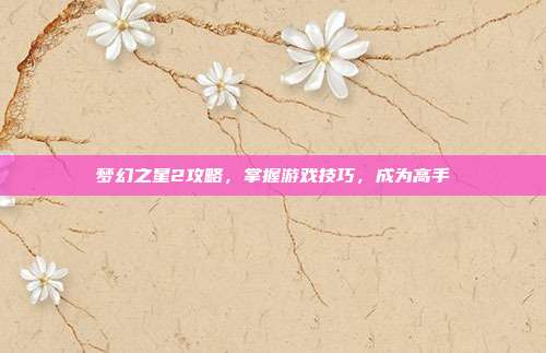 梦幻之星2攻略,掌握游戏技巧,成为高手